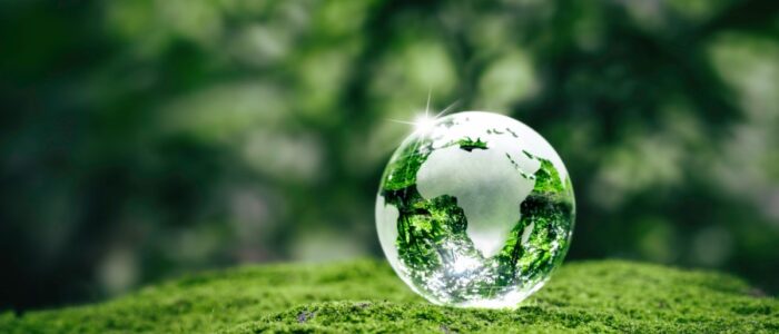 Das Bild zeigt eine gläserne Erdkugel, die auf grünem Moos im Wald liegt.